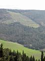 Fiesole - Parco di Montececeri-15
